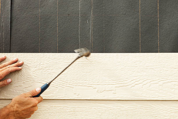 Best Custom Trim and Detailing for Siding  in Charlotte Harbor, FL